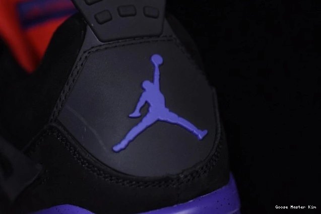 Raptors